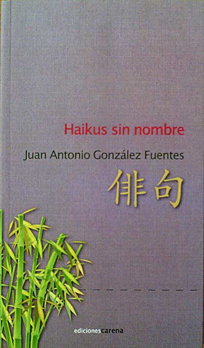 Haikus sin nombre