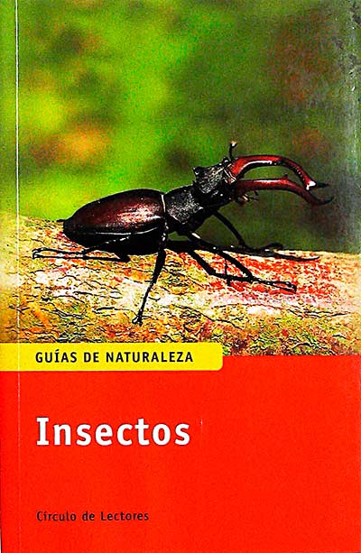 Insectos