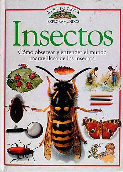 Insectos