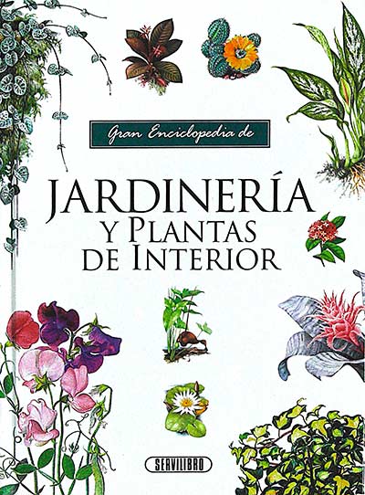 Jardinería y plantas de interior