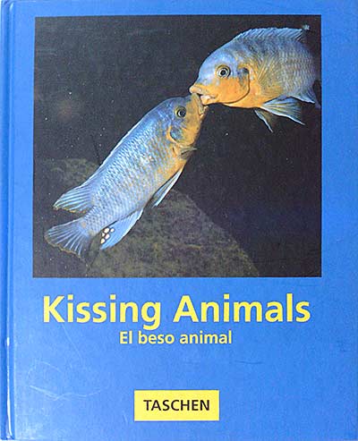 Kissing Animals. El beso animal