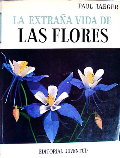 La extraña vida de las flores
