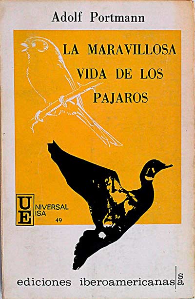 La maravillosa vida de los pájaros 