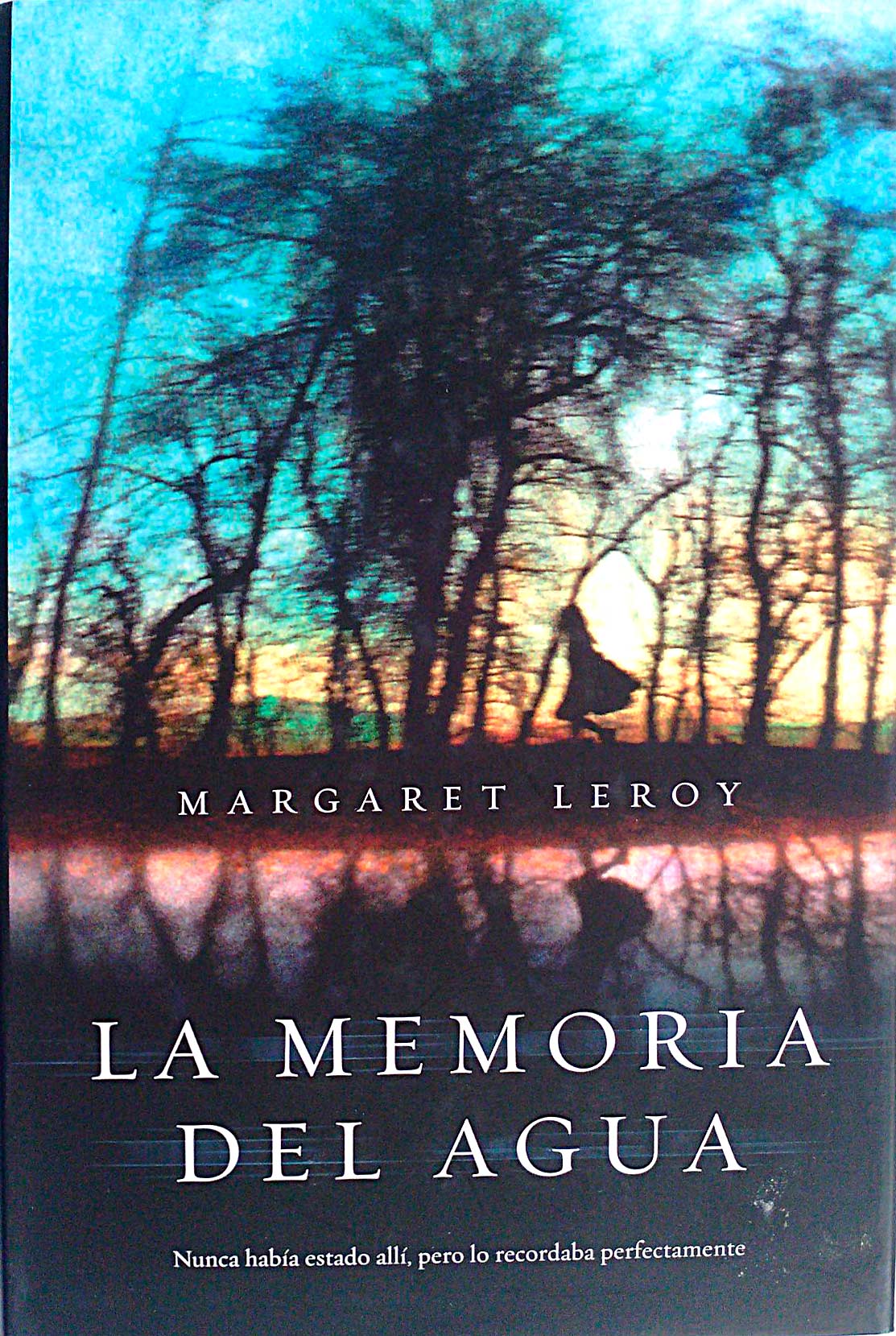 La memoria del agua