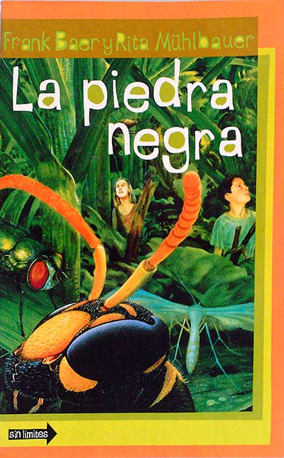La piedra negra 