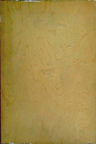 La Santa Biblia