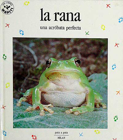 La rana. Una acróbata perfecta