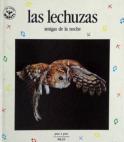 Las lechuzas. Amigas de la noche