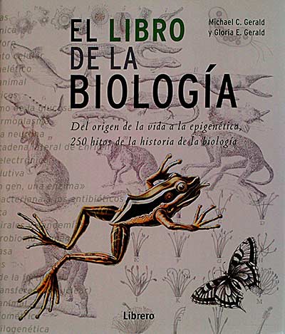 Las rutas del románico