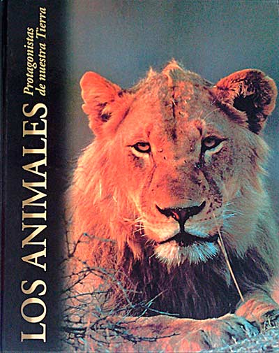 Los animales. Protagonistas de nuestra Tierra