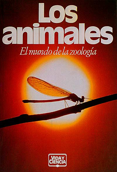 Los animales