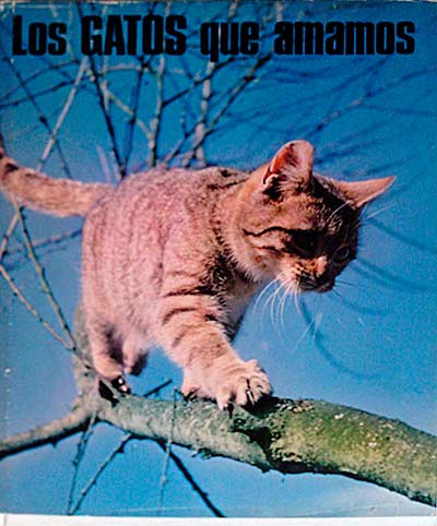 Los gatos que amamos
