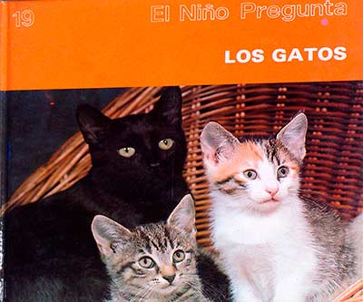Los gatos