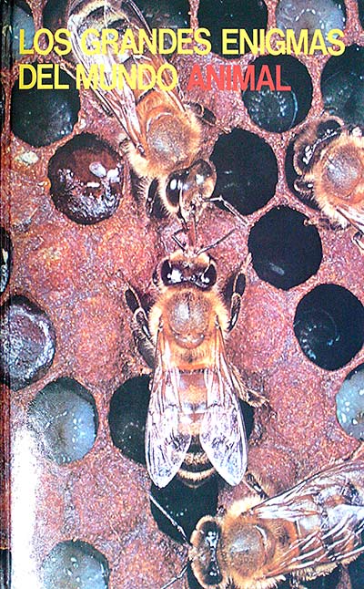 Los grandes enigmas del mundo animal Volumen VI Los insectos I