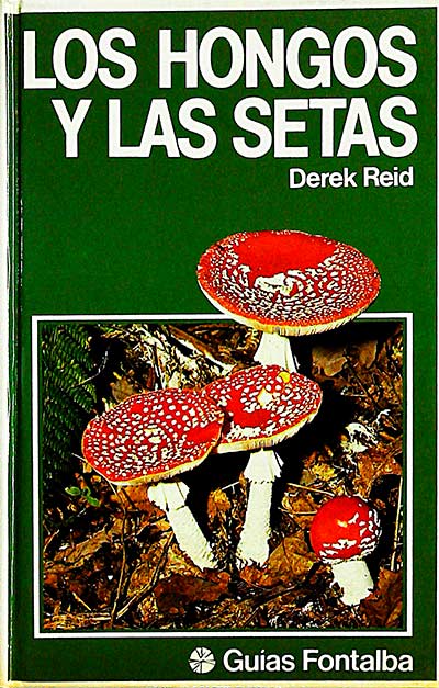 Los hongos y las setas
