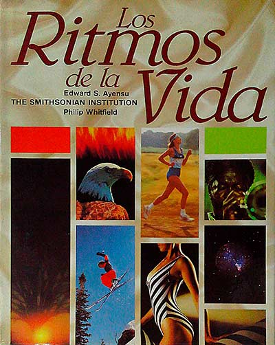 Los ritmos de la vida