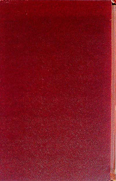 Madame Bovary / Salammbó