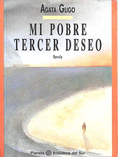 Mi pobre tercer deseo