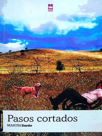 Pasos cortados