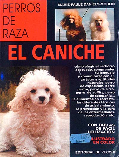 Perros de raza. El caniche