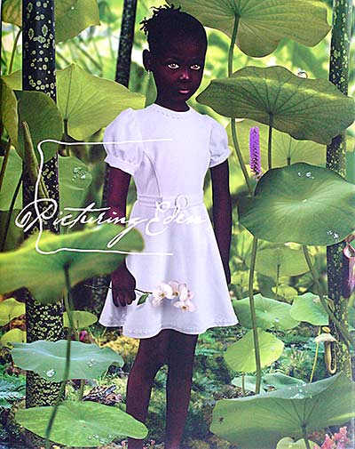 Picturing Eden 