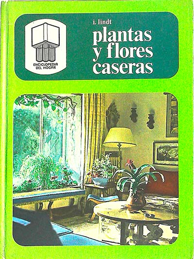 Plantas y flores caseras