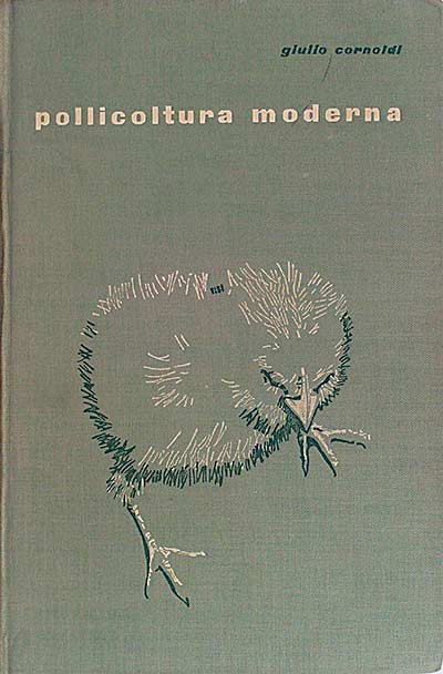 Pollicultura moderna.