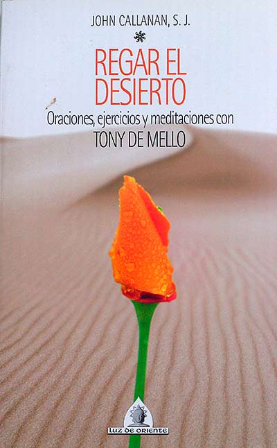 REGAR EL DESIERTO