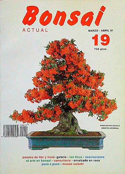 Revista Bonsai. Marzo-Abril 91