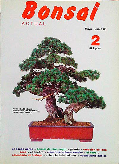 Revista Bonsai. Mayo-Junio 88. 2