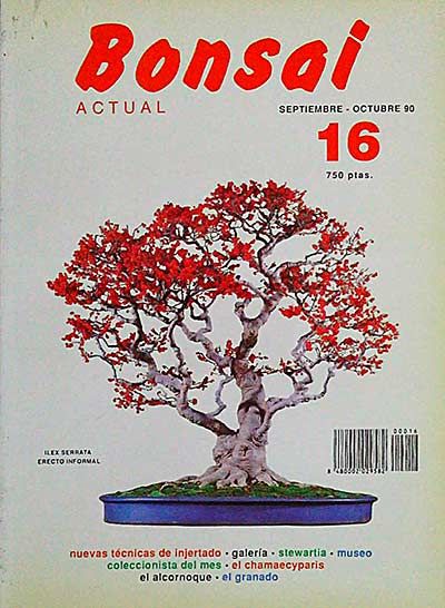 Revista Bonsai. Septiembre-Octubre 90. 16