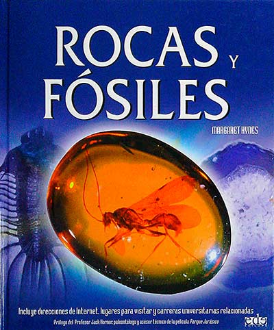 Rocas y fósiles