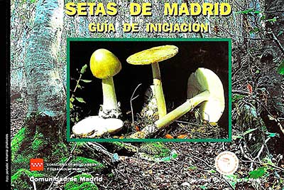 Setas de Madrid: Guía de iniciación