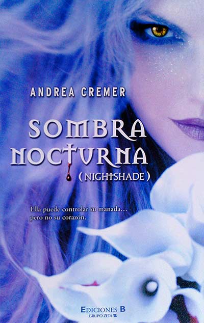 Sombra nocturna