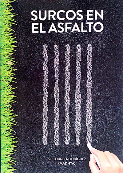 Surcos en el asfalto