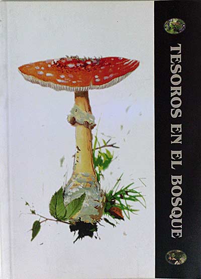 Tesoros en el bosque