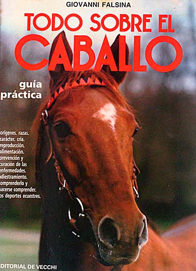 Todo sobre el caballo
