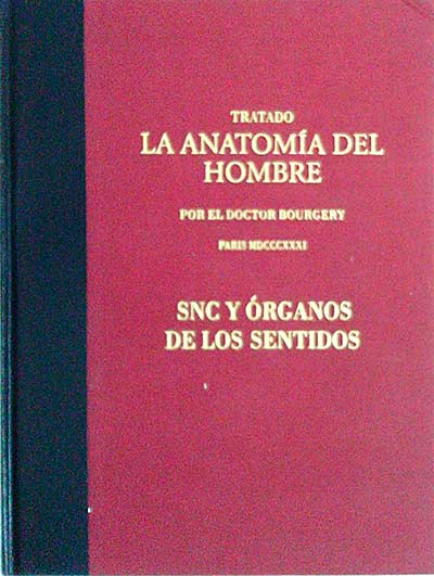 Tratado. La Anatomía del Hombre. SNC Y órganos de los sentidos Tomo III