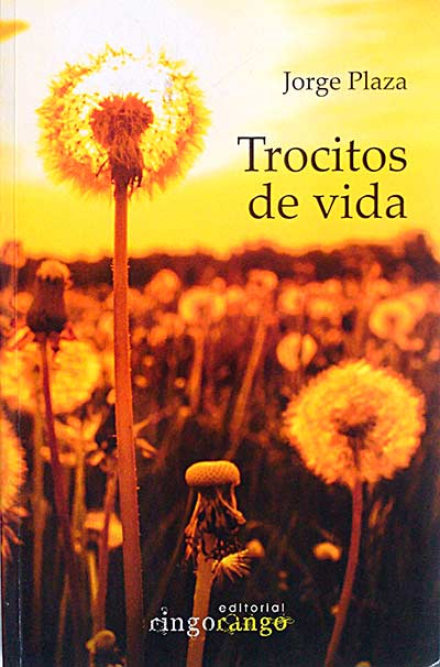 Trocitos de vida
