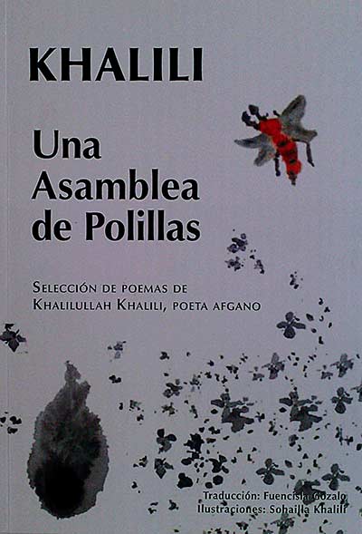 Una asamblea de polillas