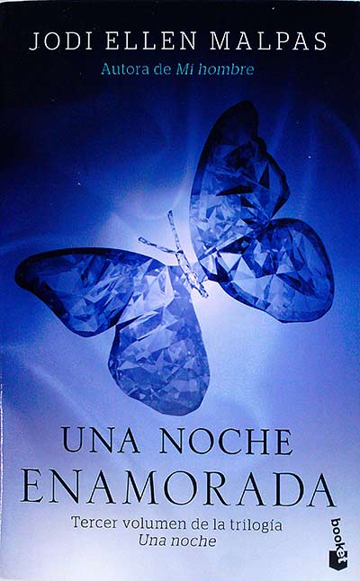 Una noche enamorada 