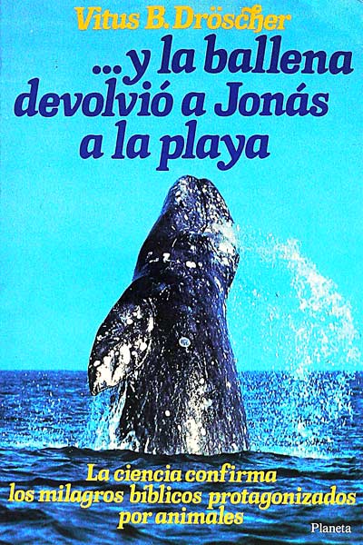 ...y la ballena devolvió a Jonás a la playa